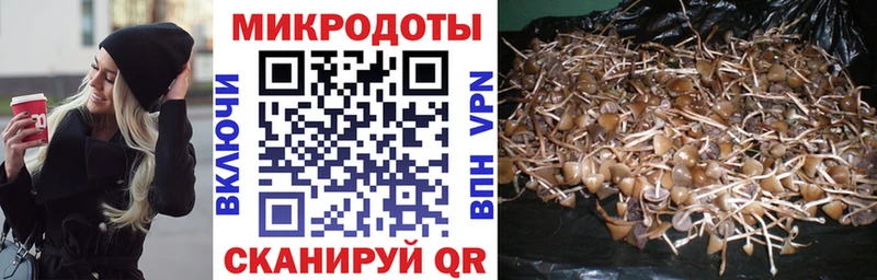 цены   Железноводск  Галлюциногенные грибы GOLDEN TEACHER 